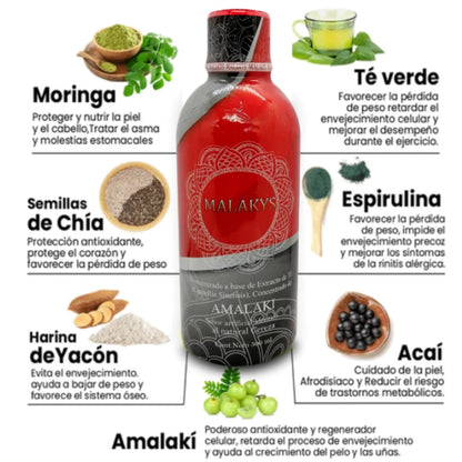 InmunoVida - Transfer Factor & Malakys